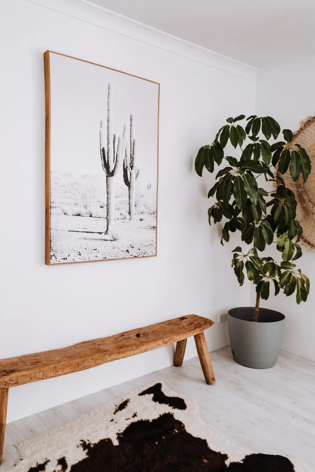 Timber bench and cowhide rug over pale plank flooring Timber bench and cowhide rug over pale plank flooring